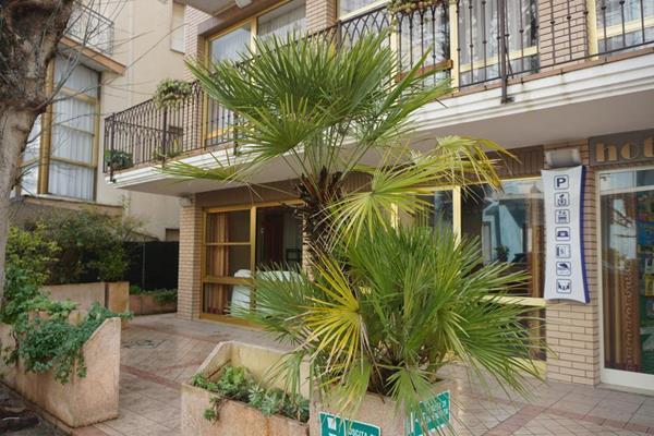 Hotel B&B Ardea Rimini Zewnętrze zdjęcie